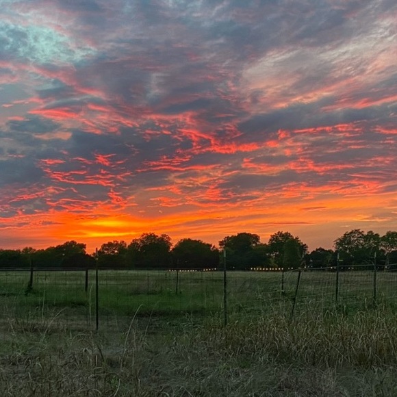 Meet your Posher, DR - Picture 15 of 16